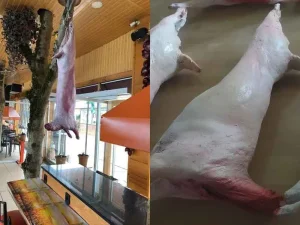 Kasap Vitrin Tipi Gerçekçi Kuzu Karkas Et Maketi